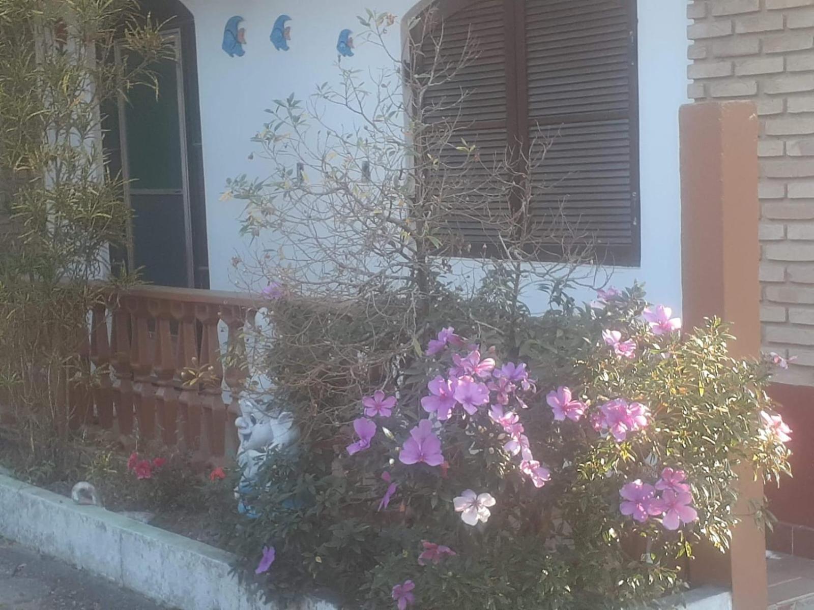 Apartamento Casa Em
